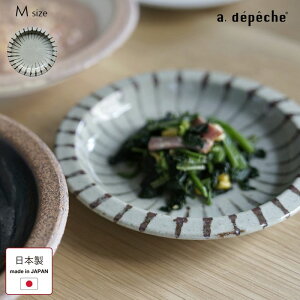 OTOHA M Ign 킽̃v[g M z  a18cm  { a _ JtF H 020-OTH-WPL-M-KONBU M M M ێM Y H aH