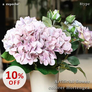 yX[p[SALE10OFFz  t[ AWTC  z CeA AWg  fBXvC tFCNt[ hCt[  AeB[N ԑ  EFfB