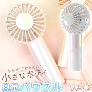 | Xgbvt I[J[ nfBt@ USB[d ^@  ^ y VFJ[ 킢 ~j Type-C ΍ MǑ΍