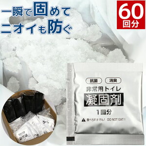 ȈՃgC Ìō 60  rj[ pgC h gуgC L R ЊQ hЃObY ۑ  nk 䕗 f ʏa