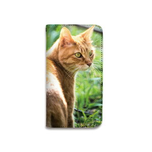 X}zP[X S@Ή 蒠^ gуP[X xgȂ }OlbgȂ  L ʐ^ X}[gtH iPhone17 iPhoneAir 16e 15 14 Pro Max Plus mini SE2 13 12 SE3 Xperia Galaxy GALAXY AQUOS GooglePixel OPPO