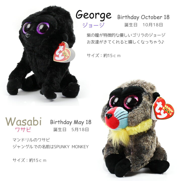 楽天市場 Ty ぬいぐるみ ビーニーブーズ Mサイズ ドラゴン カモノハシ 鳥 サル ゴリラ ワニ 魚 イルカ シャチ タイ Beanies Boo S Depot