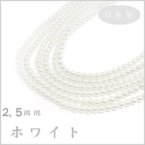 vX`bN p[ r[Y 2.5mm zCg { i1{ 75cm 300jnhCh  ANZT[ p[c ^