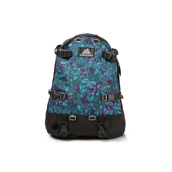 楽天市場】GREGORY グレゴリー バッグパック DAY AND A HALF PACK デイ 