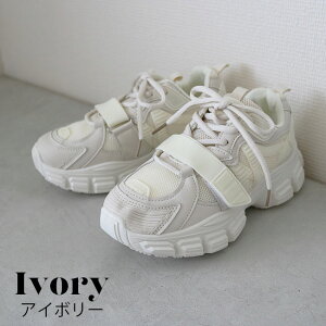 yAEgbgz _bhXj[J[ Xj[J[ V[Y ؍ Vv Xg[g  IV ₷ ɂ CX^ X^CAbv  ubN AC{