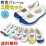 教育バレーDX 2足セット 上履き（教育シューズ 上靴 内履き）【T】