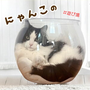 L h[ Lxbh LnEX 27cm s27cm 28cm {[ L{E L ybgxbh ybgnEX i vX`bN Q ˂ ybg XPg ې LpQ