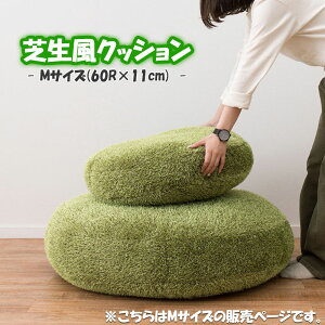 ŐNbV NbV tANbV a60cm MTCY lH  O[ n 傫 傫  ی` ~`  ӂ k i` _ Lv rO 