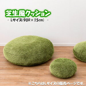 ŐNbV NbV tANbV a90cm LTCY lH  O[ n 傫 傫  ی` ~`  ӂ k i` _ Lv rO 