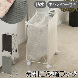 【Alex】分別ごみ箱ラック ごみ箱 ゴミ箱 幅38 奥行28 高さ60.5 ダストボックス ゴミ袋スタンド 分別 ラック キャスター付き 防水 北欧 ダークブラウン ホワイト グレー スリム 省スペース キッチン リビング 脱衣所 洗面所 寝室 オシャレ シンプル