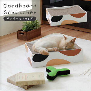 yBellez L ߂Ƃ ܂Ƃ VN} ˂ i{[ _{[  XgX ^s ܌ ܂݂@u@Lpi ybgp   LJtF@L@cat 