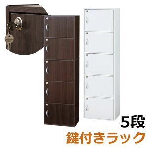 t[BOXI yfunctionz@42 s29 144.5cm zCg uE BOX {bNX bN [ t J[{bNX JMt[ CD DVD I[fBI[  CDbN DVDbN t