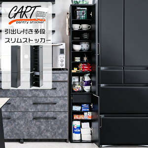 yCart-sk8zBtăXŋ@\IȂ܎[bN@27@@ubN@ot@Lb`XgbJ[@@t@X@^@I@p@@~[t@Ԏ[