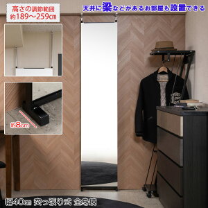 VɗĂݒu\ ߔ͈͍189`259cm yBELLAz 40cm { ʒJ[ ubN ꏊȂ ˂~[ ~[  X^h~[ _X o[ W ݂łg