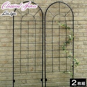 NVbNtFX@[^Cvi2gj@tFX@Q[g@@ACA@K[ftFX@K[fjO g@@d؂@ډB@ځ@NVJ@AeB[N@gX@