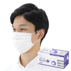 ACXI[} sDz}XN 傫 65 zCg ɂȂȂ PN-NV65LL  傫TCY