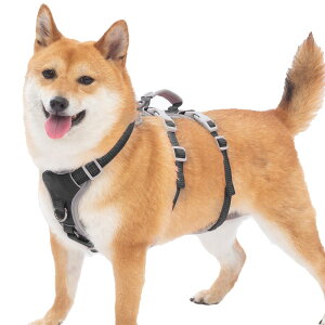 Huntboo  n[lX ^ ^ ^ pn[lX p Ȃ Eoh~ nh TCY\ Ԕ ȒPE \tg h U g[jOiMAubNj