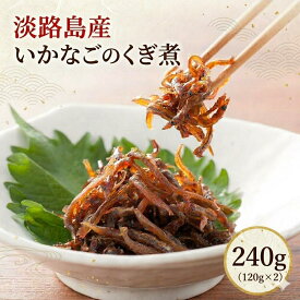 新物 【2026年度産】【淡路産 いかなごのくぎ煮 240g（120g×2P）】 淡路島 いかなごくぎ煮240g 贈り物 小分け イカナゴ いかなご ごはんのおとも 明石 いかなご釘煮 いかなごの釘煮 ごはんのお供 ギフト プレゼント おにぎりの具 お惣菜 お取り寄せグルメ ご当地グルメ