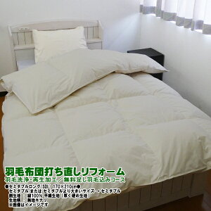 yVvvzHѕzc łtH[ Z~_u 100Dn^Hі HуtbV SDGs