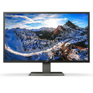 PHILIPS 液晶ディスプレイ 42.5型 / 3840×2160 / HDMI、DisplayPort、USBType-C / ブラック / スピーカー:あり / 5年間フル保証 439P1 / 11