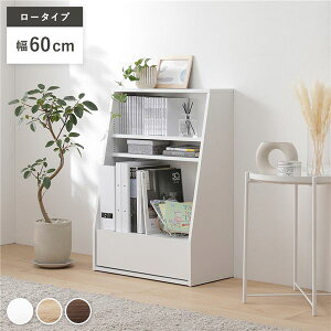 ubNbN {I [^Cv 60cm zCg ^ X o I ubNVFt rO [Ƌ@i[J[:j CeA Ƌ [Ƌ ubNVFt {I