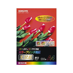 KOKUYO RN ypZbgz RN J[v^p i򎆁jA4 KB-FG159 1Zbg i500F100×5j y×5Zbgz yp ܂Ƃߔ  Zbg̔z v^ PCTvCE
