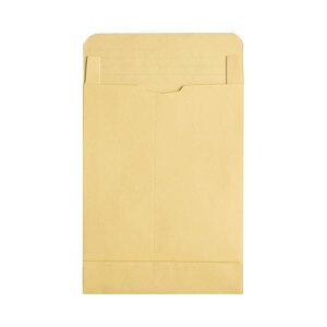 TANOSEE R40クラフト大型封筒 角0マチ広 120g / m2 テープなし 1パック (50枚) 日用品雑貨・文房具・手芸 文房具・事務用品 文具 オフィス用品 文房具 事務用品 封筒
