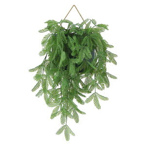 tFCNO[ ϗtA 270mm ~U nMO rO _CjO CeAƋ z