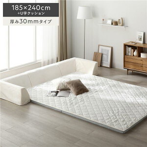 �Ɍ� ���O �w�N�b�V���� �Z�b�g ��185×240cm�{U���N�b�V���� ����30mm�^�C�v �t�����l�����n �A�C�{���[ �􂦂� �J�o�[