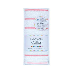 y܂Ƃߔ 5Zbgz BTCJ[ tFCX^I bh 22449010X5 yp ܂Ƃߔ  Ɩp  Zbg̔z l ^I oX^I