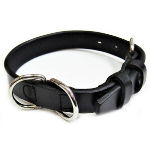 ICU[J[ #21 ubN iybgpi E pjybg  n[lX