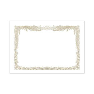 TTK ^J ~j܏p A5^ep 10-1650 1P[X i100j piG݁E[E| [Epi  ItBXpi [ pi m[gEi ܏pE܏z