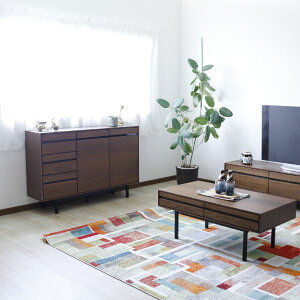 TCh{[hiEHibgj 120cm [i / r̂ݎtn CeA Ƌ [Ƌ [