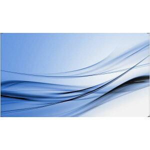 PHILIPS ifBXvCj tfBXvC iTCl[Wj55^ / 1920×1080 / DVIAHDMIAD-subADisplayPort / ubN / Xs[J[: / rfIEH[p 55BDL8007X / 11
