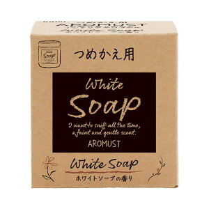 晴香堂 アロマストホワイトソープ つめかえ用 160ml 1個 【×3セット】 【お徳用 まとめ買い お買い得 業務用 割引 セット販売】 芳香剤 消臭剤 アロマ フレグランス