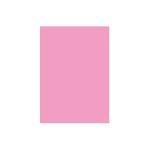 y10Zbg pZbgz 剤 ĐFp / Hp yl؂ 10z t~S yp ܂Ƃߔ  Ɩp  Zbg̔z piG݁E[E| [E