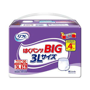 t ͂pcBIG 3L 1P _CGbgEN qpi ނ pc Ic_CGbgEN qpi ނEpc