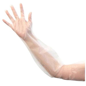 sCvO 075862 S ĝĎ g  ĝĎ S R O[u