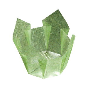 }R[ p ItBX Ɩp OP ᑐ_  (200) yamaco66396 Lb` H HX Ɩp aH 