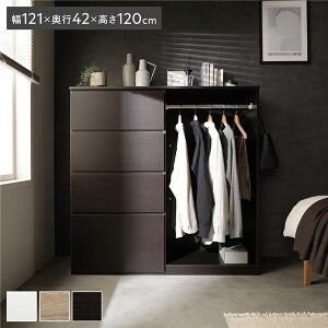 nK[bN 121×s42×120cm _[NuE `FXg o 4i TChtbNt ȃXy[X e ^Xysz