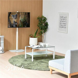 �e���r�X�^���h �e���r�� ��55×���s38×����136cm �z���C�g 32�`65�^�Ή� ��U��@�\�t �X�`�[�� �����K���X TV�X�^���h