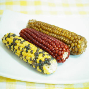 hM[}nV nX^[EX̃v`R[ 񂲖 60g t[h y×10Zbgz yp ܂Ƃߔ  Ɩp  Zbg̔z y ybgt[h E ybgpi  p