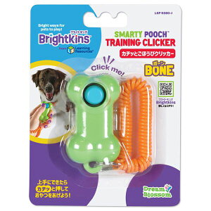 J`bƂقуNbJ[ {[ ipߋj y×2Zbgz y Zbg̔ ܂Ƃߔ  z ybg  