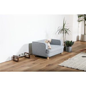 ybgp xbh \t@ p Lp PAUL |[ GY O[ gi ybgpi y ybgt[h E ybgpi pi Lpi  nX^[ bg ybgt[h V PET ObY z