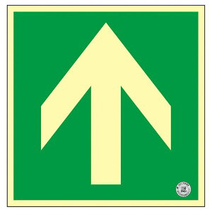 Px~pUW  13 piG݁E[E| [Epi  ItBXpi [ pi WEŔ