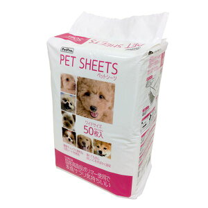 ybgv ybgV[cCh50 gCV[cyybgpiz y ybgpi pi Lpi  xbh  L PET bed  z