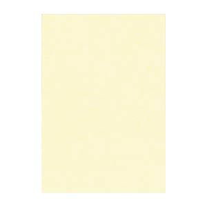 ^ j[J[R c 271×c392mm 8NCR-112 N[ 100 y×2Zbgz yp ܂Ƃߔ  Ɩp  Zbg̔z piG݁E[E| [Epi 