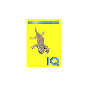 ɓ oCIgbvJ[ A4 500 80g / m2 BT512 Ji[CG[ y×2Zbgz yp ܂Ƃߔ  Ɩp  Zbg̔z v^ PCTvCEՕi Rs[pE