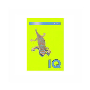 ɓ oCIgbvJ[ A4 500 80g / m2 BT514 CO[ y×2Zbgz yp ܂Ƃߔ  Ɩp  Zbg̔z v^ PCTvCEՕi Rs[pEp