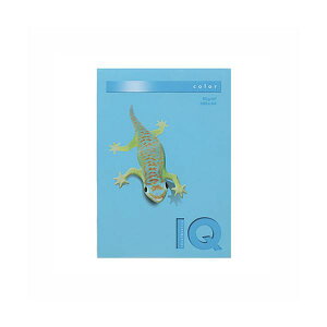 伊東屋 バイオトップカラー A4判 500枚入 80g / m2 BT518 アクアブルー 【×2セット】 【お徳用 まとめ買い お買い得 業務用 割引 セット販売】 プリンタ PCサプライ・消耗品 コピー用紙・印刷用紙